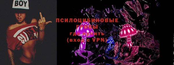 apvp Карталы