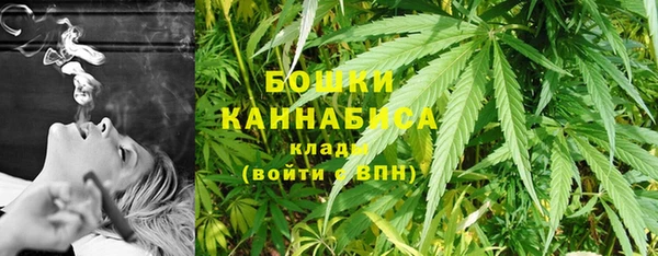 гидропоника Каменногорск