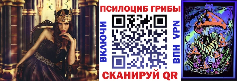 Псилоцибиновые грибы мухоморы  площадка наркотические препараты  Северодвинск 