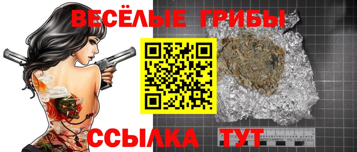 Галлюциногенные грибы Cubensis  Северодвинск  Галлюциногенные грибы GOLDEN TEACHER 