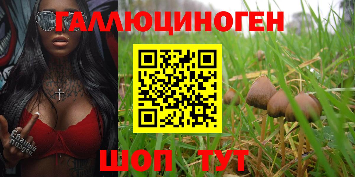 Северодвинск  Галлюциногенные грибы GOLDEN TEACHER  купить наркоту  Галлюциногенные грибы Psilocybe  Вход с VPN 